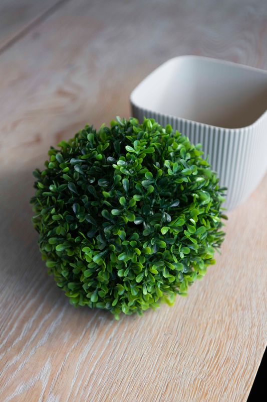 Buksbom boll 18cm